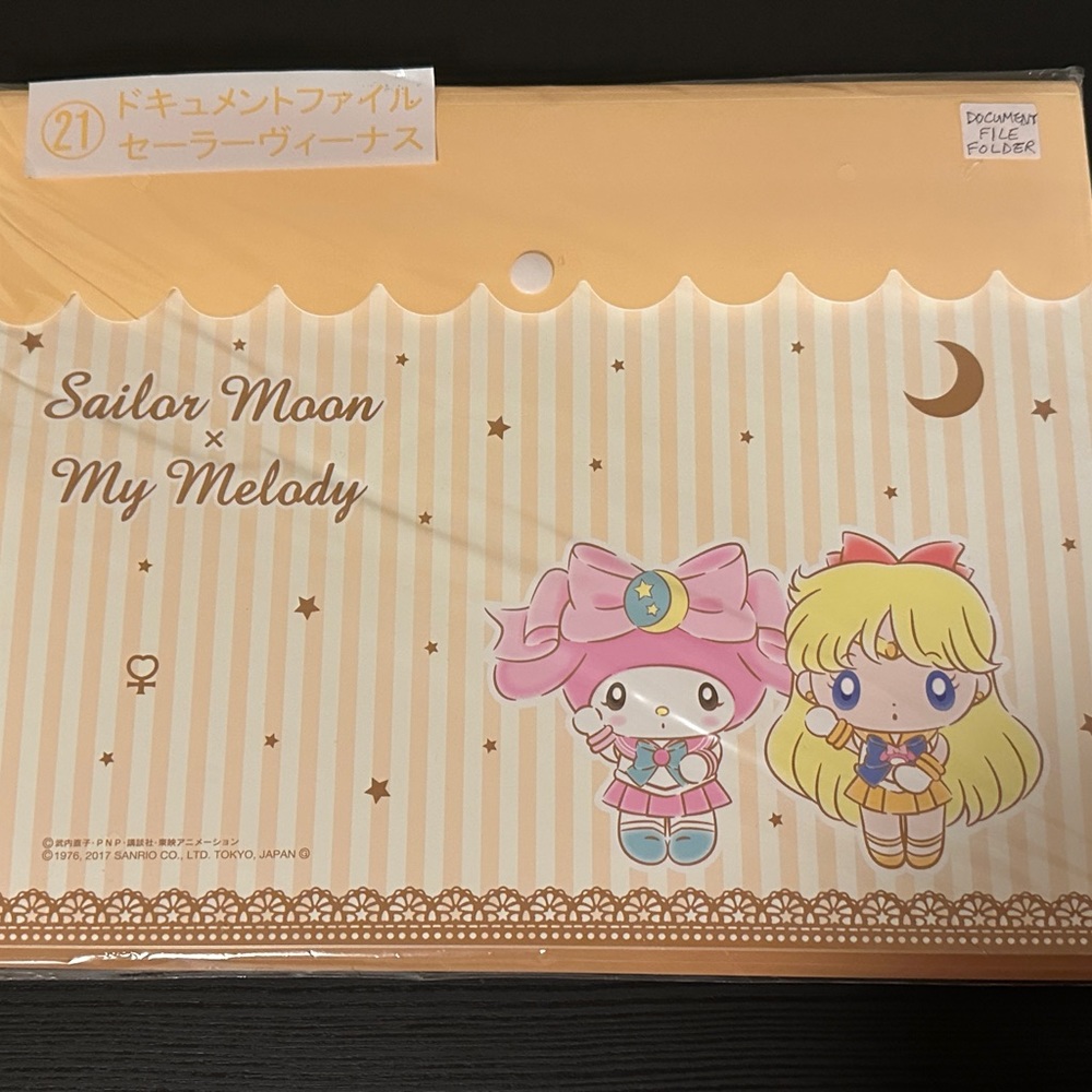 Limited Edition Sailor Moon x Sanrio Clear File